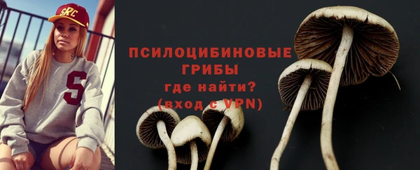 винт Осинники