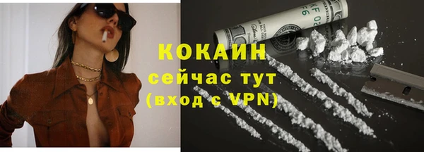 винт Осинники