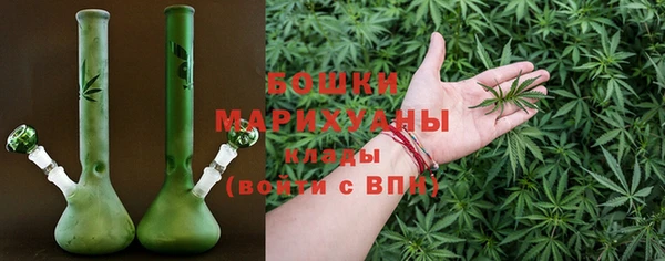 гашик Нягань