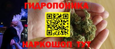 гашишное масло Кингисепп
